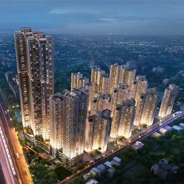 Avidipta Phase II