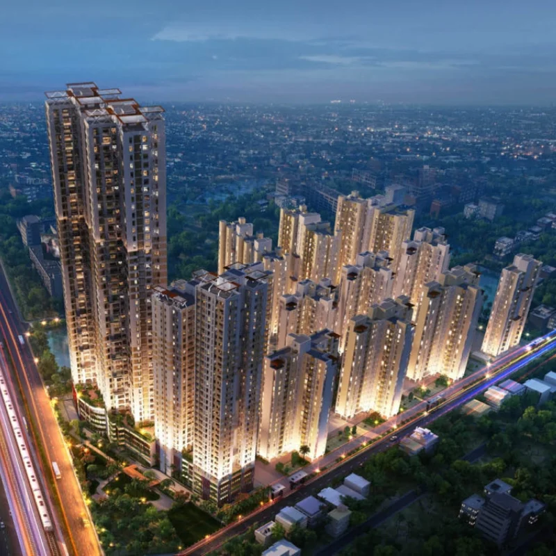 Avidipta Phase II