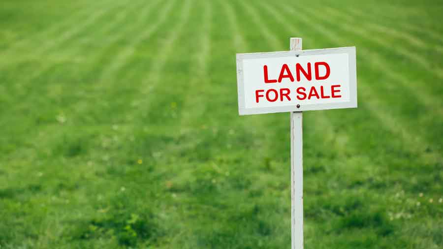 Advantages and disadvantages of investing in land