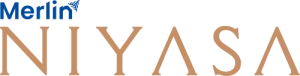 Merlin Niyasa, Ruby,EM Bypass- Project Logo