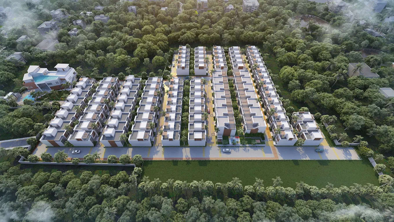DTC Palm Grove