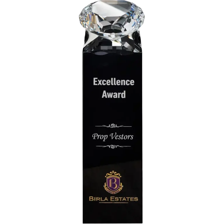 Excellence Award