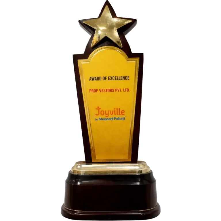 Award Of Excellence
